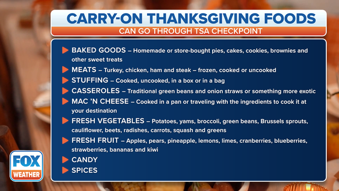 What Thanksgiving Foods Can You Take Through TSA Checkpoints? | Fox Weather