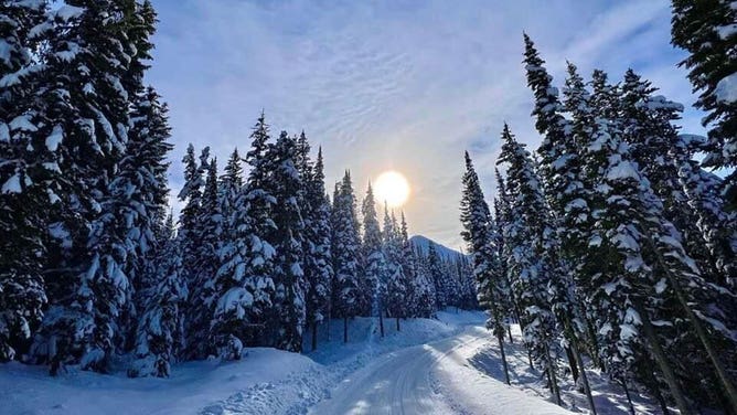 Sun over a snowy road in Yellowstone