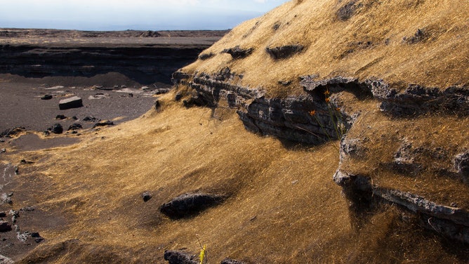 Pele's Hair