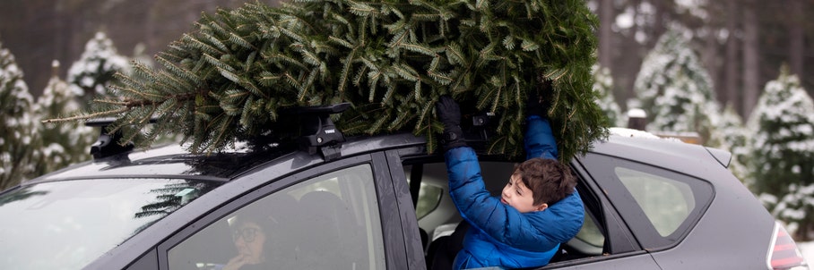 Christmas weather outlook: Millions to see 'nice' forecast with a touch of 'naughty' across nation