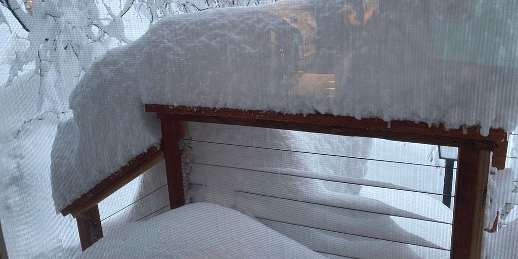 The Daily Weather Update from FOX Weather: Storm dumping snow in Plains