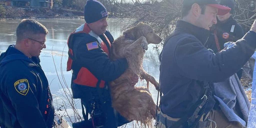 Watch: Oklahoma firefighters rescue dog stuck in frozen lake | Fox Weather