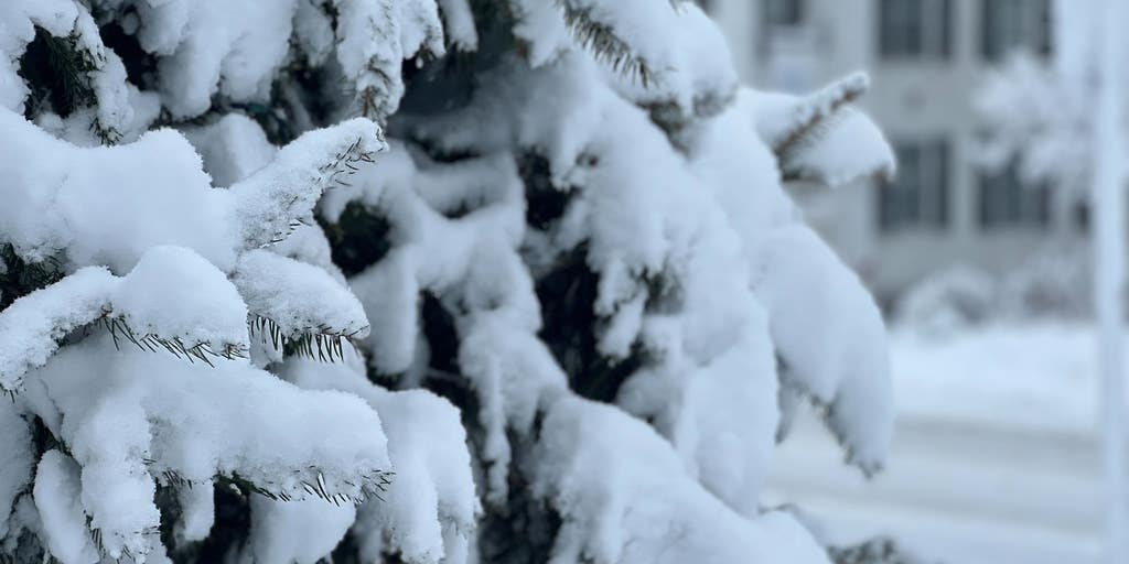 Dreaming of a white Christmas? These lucky states could see one