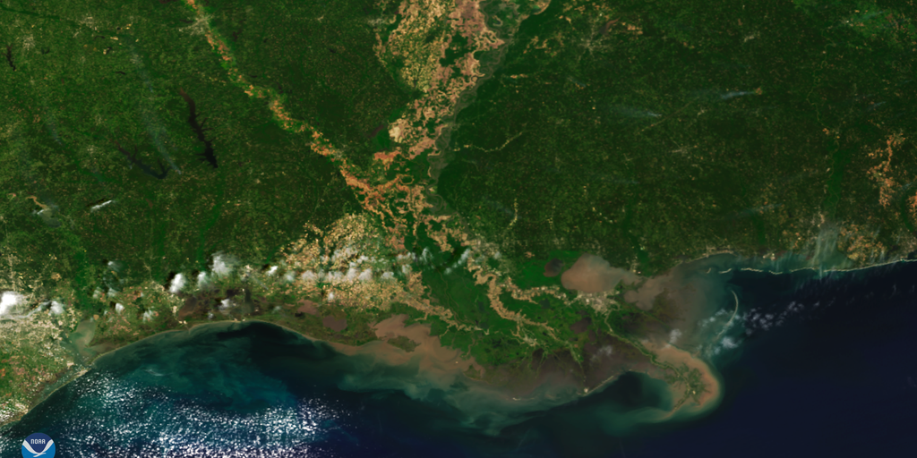 Satellite images reveal dramatic loss of Louisiana wetlands - Fox Weather