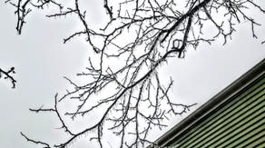 Wintry mix of snow, ice keeps northern states under winter weather alerts