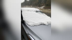 Forget something? Driver busted with $553 ticket for driving with snow-covered windshield