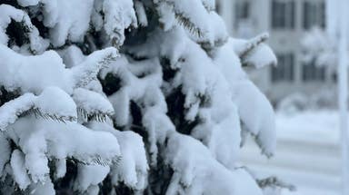 Dreaming of a white Christmas? These lucky states could see one