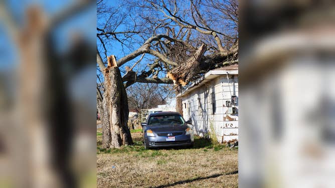 The top half of a tree broke and fell onto a house, with a car parked right below in Wayne, OK on December 13, 2022.