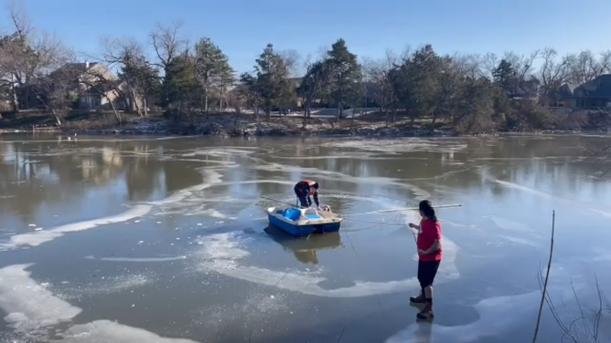 The dog's owner stands near the shore, as a firefighter attempts to pull the dog out of the water.