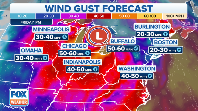The wind gust forecast.
