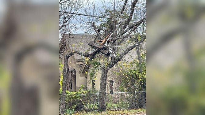 A power line in Grapevine, Texas, broke off and became entangled in tree branches. Storms swept through the area on December 13, 2022.