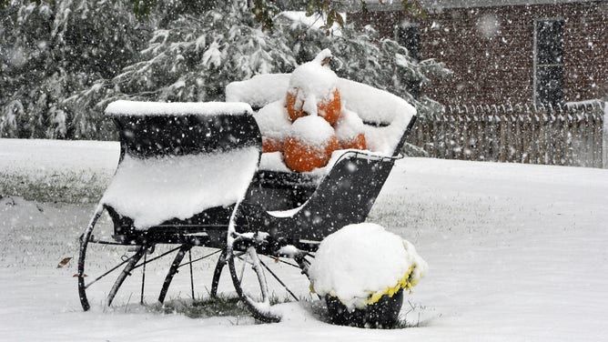 A snow covered Halloween decoration is seen in the town of Westminster, MD, October 29, 2011. An unusually cold weather hit the North East part of the United States a few days before Halloween.