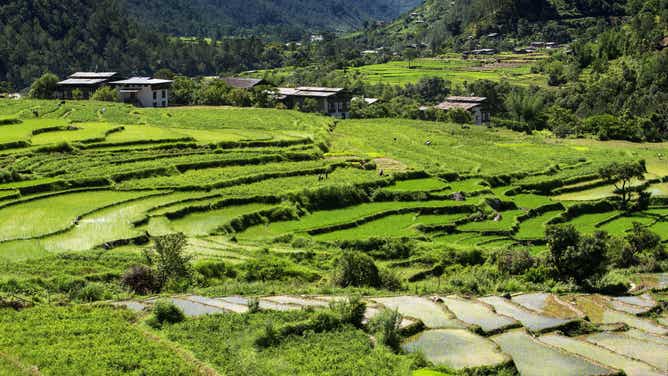 A valley in Bhutan.