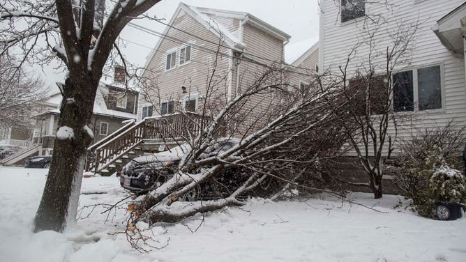 FILE - A downed tree on top of a car on March 14, 2017 in Revere, Massachusetts.