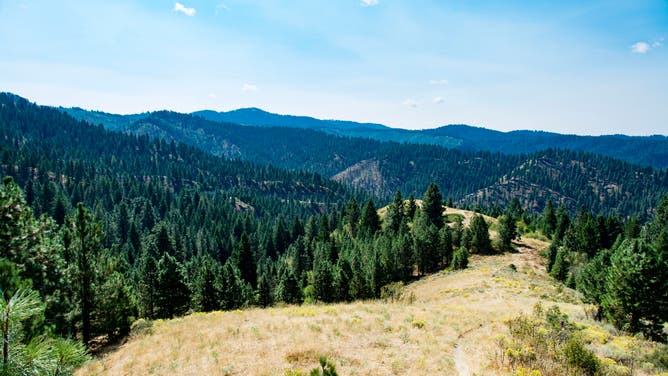 Scenic views of Boise National Forest in Idaho.