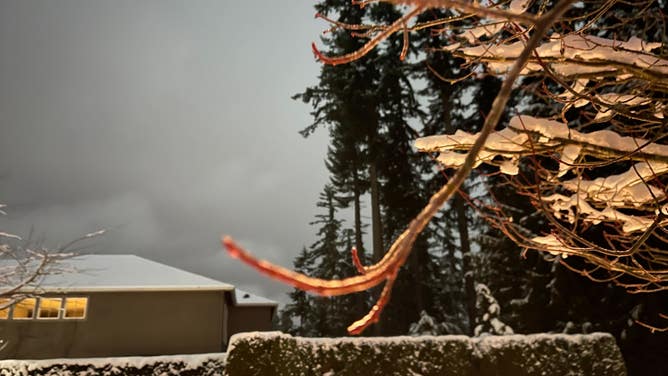 Ice in Seattle area