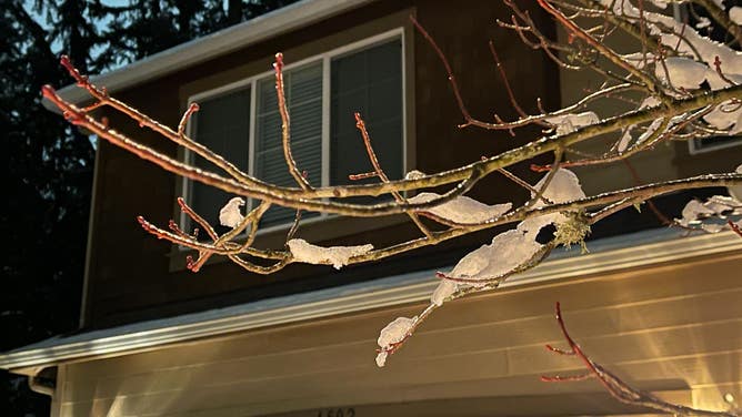 Ice in Seattle area