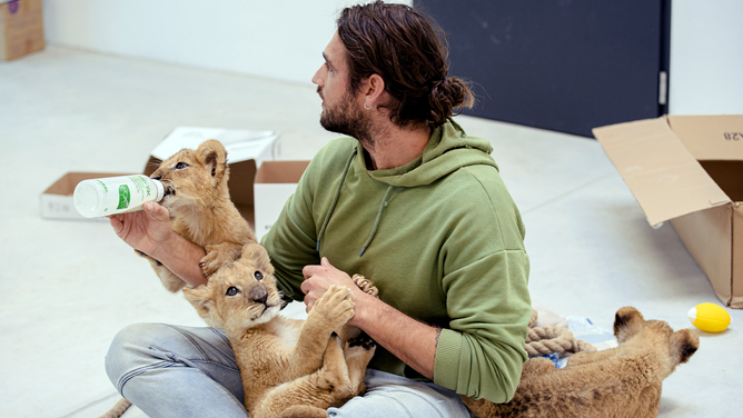 Dr. Andrew Kushnir bottle-feeding a lion cub while another cub plays in his lap at the Poznan Zoo.