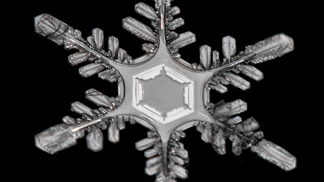 MORPH8NE / Snowflakes [Morph8ne × Qooza] GLKMHziaQAAioMY.jpg