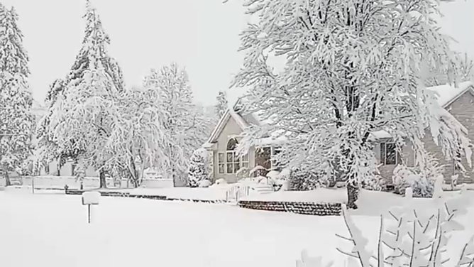 Photographer Becky Lange said she filmed this footage in Sandstone, southwest of Duluth, on Wednesday morning. She said the heavy snow was breaking tree branches in her area.