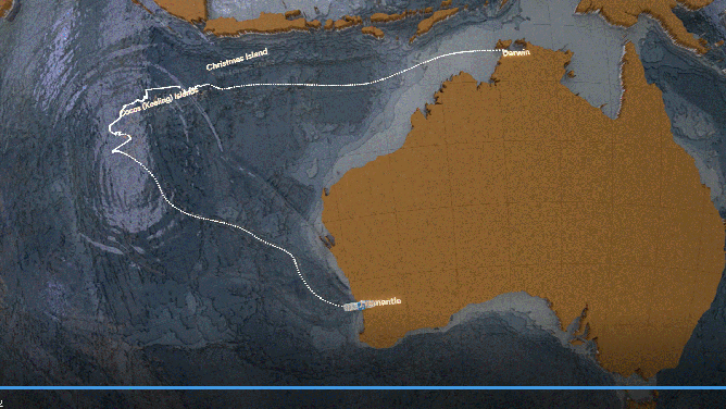 Rare deep sea fish found in Australia expedition, including blind eel
