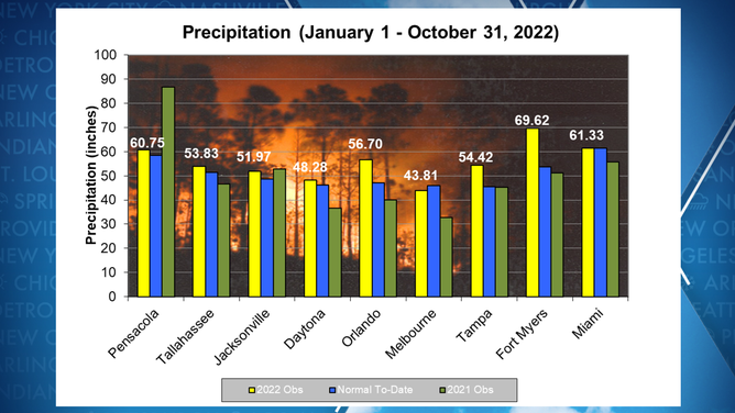 Florida rainfall