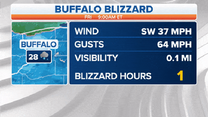 Buffalo Blizzard Stats