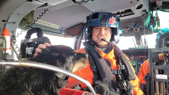 Coast Guard Rescues Dog