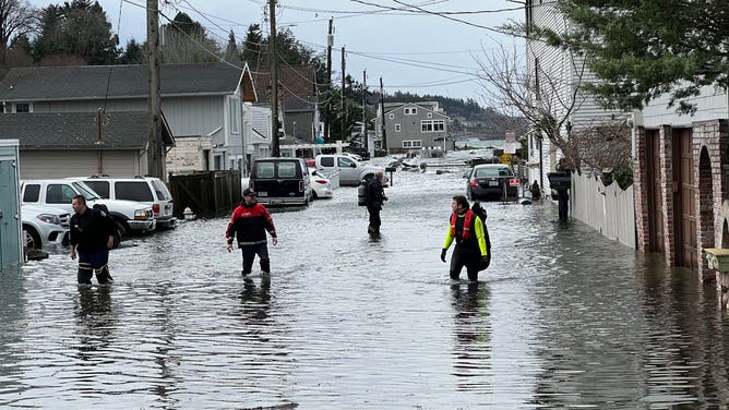 4 dead, including child, when strong winds topple trees onto vehicles ...