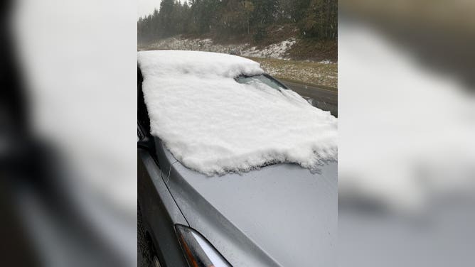 Driver with snow-covered windshield