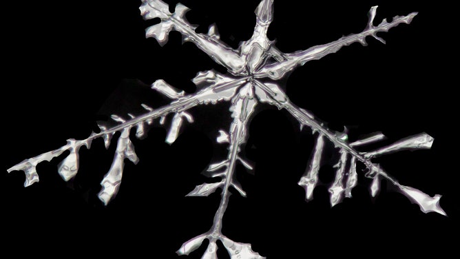 Snowflake Photograph