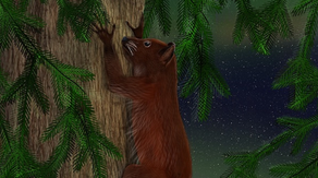 Fossils show primate-like creatures lived in Arctic 52 million years ago