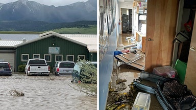 Montana animal shelter reopens 7 months after Yellowstone's historic floods