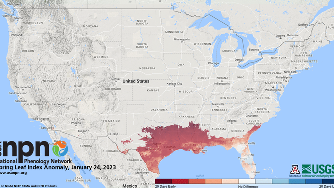 USA National Phenology Network