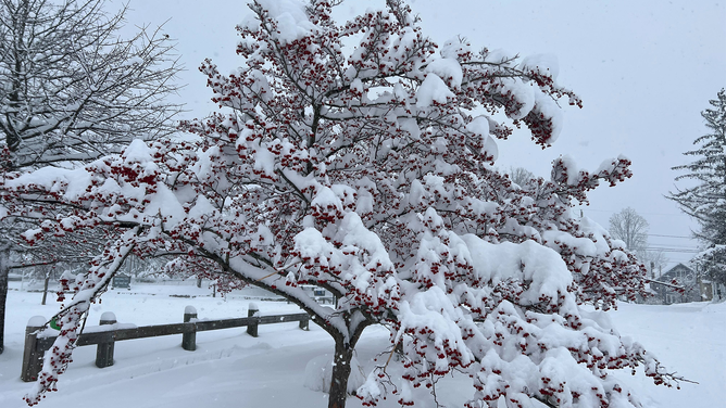 FOX Weather multimedia journalist Brandy Campbell is in Concord, New Hampshire, where a winter storm has dropped several inches of snow.