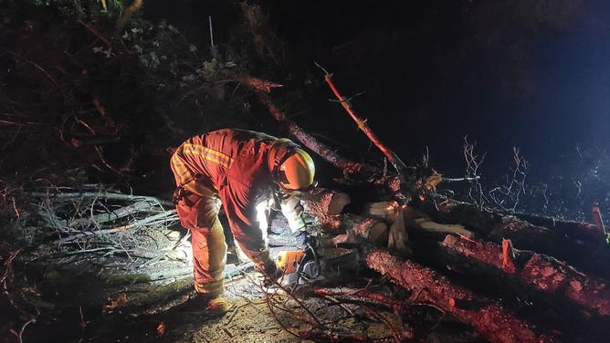 A downed tree blocking Highway 175 near Maple Shadows Drive in Whispering Pines, California.