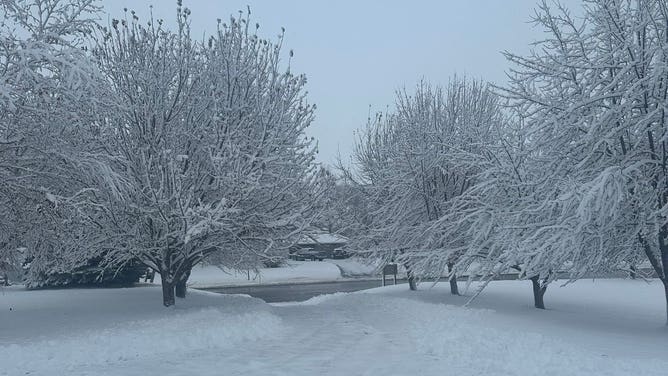 A snow-covered driveway in Iowa. January 19, 2023.