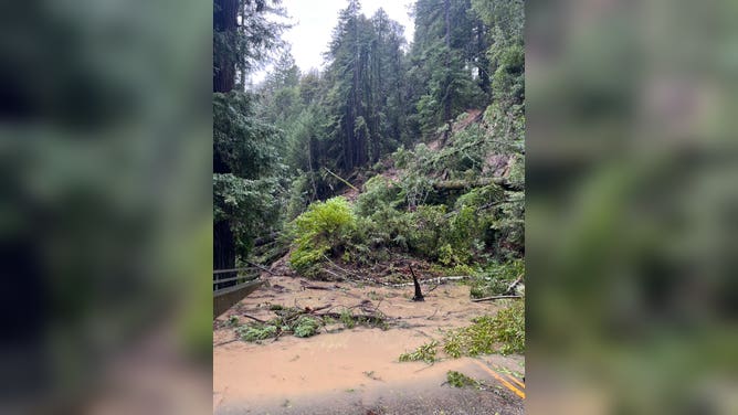 A mudslide near the San Lorenzo River north of Santa Cruz, California, on January 9, 2023. It led to a road closure at SR-9 and Holiday Lane.