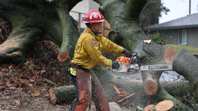 CALFire crews clearing trees downed from a series of storms moving through the region. (Image: CALFIRE)