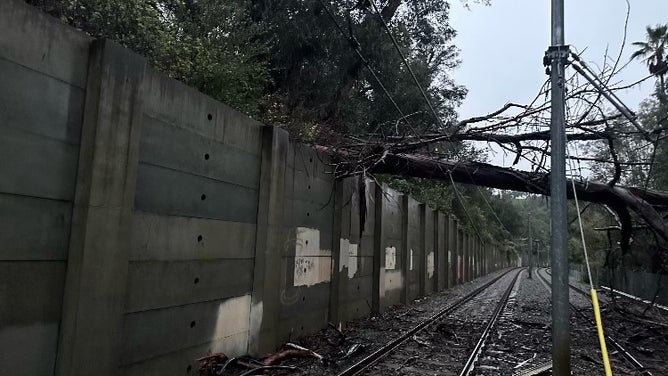 Trees on powerlines near LA Metro's Southwest Museum and South Pasadena stations.