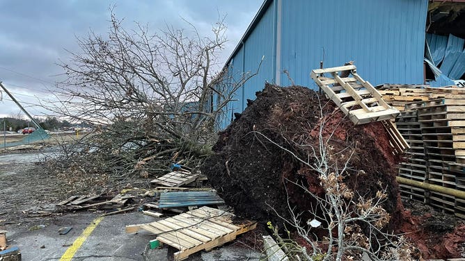 Storm damage in Butts County, Georgia following a severe weather outbreak on Jan. 12, 2023. (Image credit: WAGA @BrookeZaunerTV)