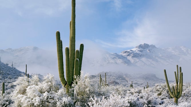 Tucson area snow