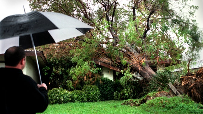 Wind Damage near LA