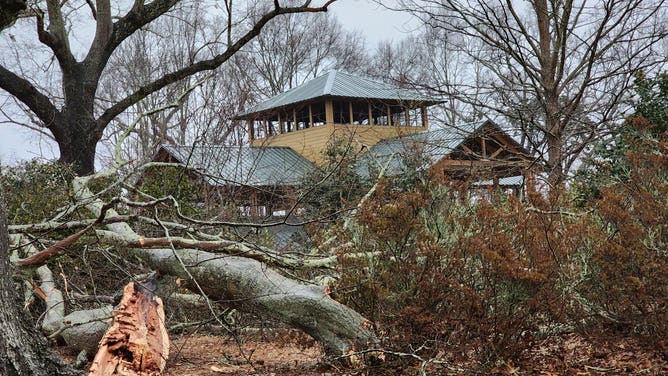 The University of Georgia Griffin campus suffered significant damage to large trees and several buildings on campus during the Jan. 12, 2023 severe weather event. 