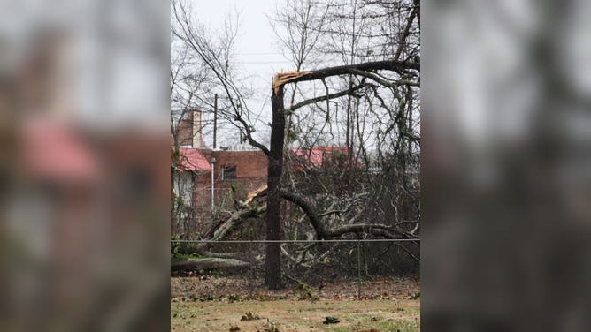 The University of Georgia Griffin campus suffered significant damage to large trees and several buildings on campus during the Jan. 12, 2023 severe weather event.
