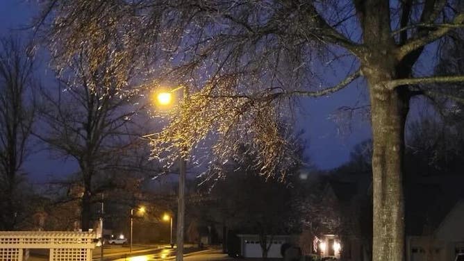 Ice is seen coating tree limbs in Collierville, Tennessee.