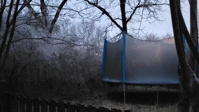 Ice is seen on trees and coating the ground in Collierville, Tennessee.
