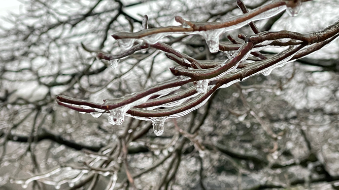 FILE - Ice glazes tree limbs in Myersville, Maryland on December 15, 2022. Freezing rain fell on parts of the area as winter sets in.