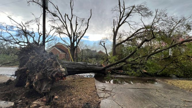 Storm damage near downtown Selma, Alabama on January 12, 2023.