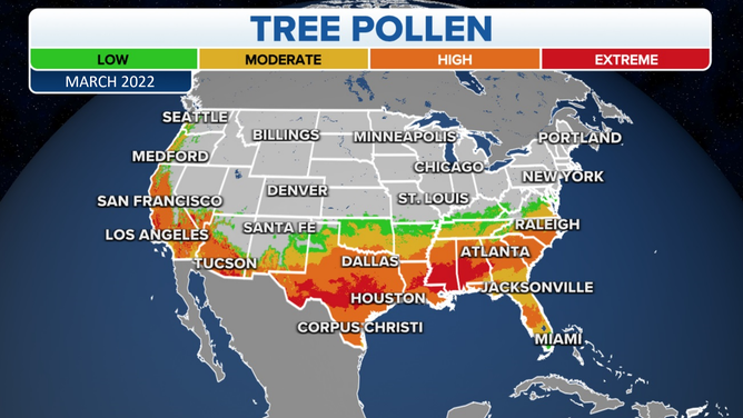 Pollen Levels Creep Up As Winter s Arctic Blast Becomes A Distant Pollen Levels Creep Up As Winter s Arctic Blast Becomes A Distant